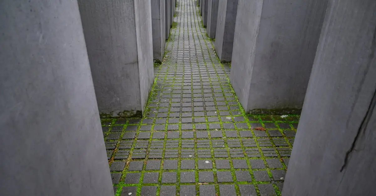 Holocaust-Fakten: Hintergründe und historische Wahrheit