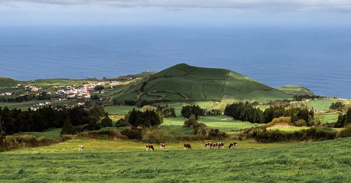 Portugal landwirtschaft fakten