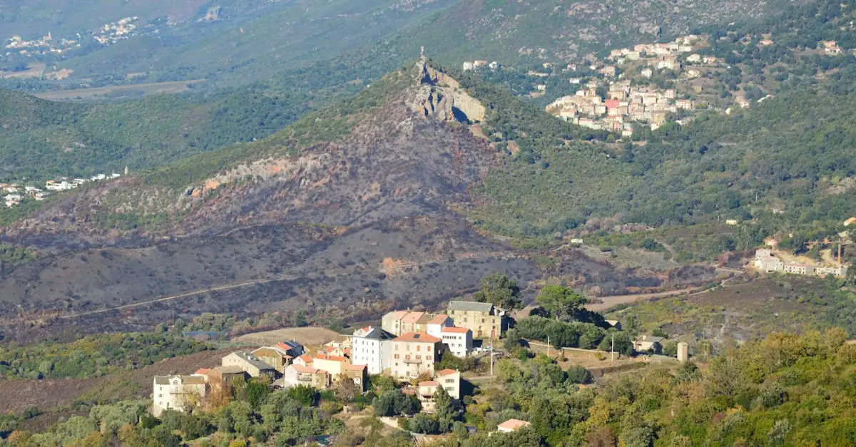 Waldbrände in südfrankreich fakten