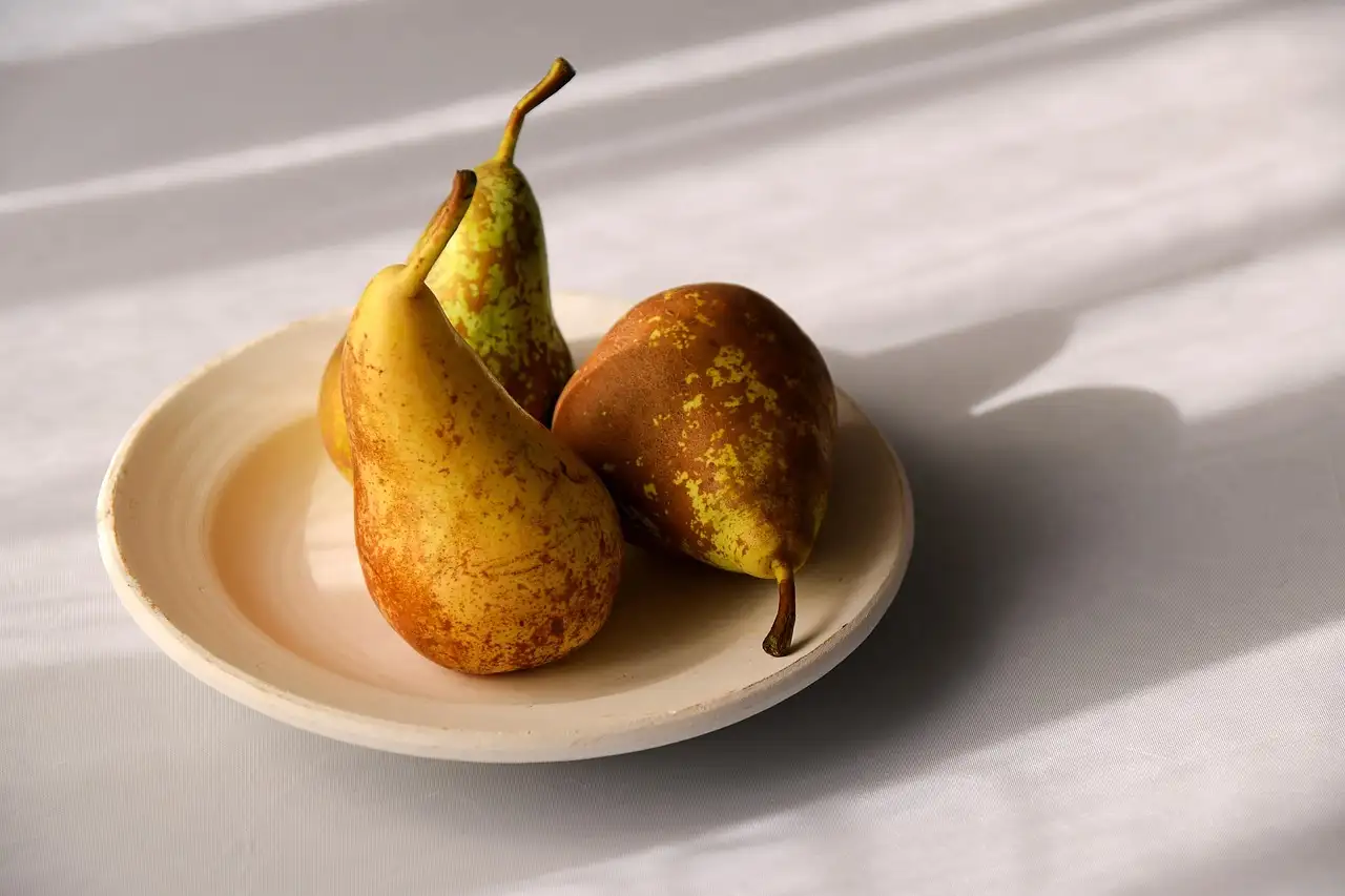 Fakten ernährung